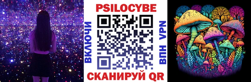 Галлюциногенные грибы Psilocybe  Котлас 