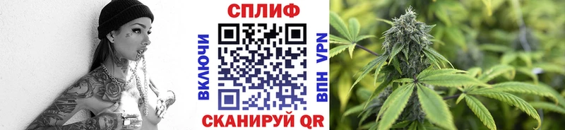 кракен маркетплейс Котлас Шишки марихуана сатива купить наркотик